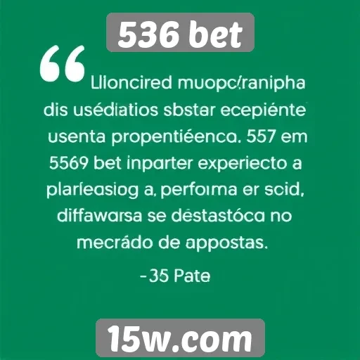 Feedback dos usuários sobre a experiência em 536 bet